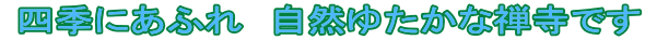 四季にあふれ自然ゆたかな禅寺です